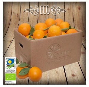 Eco-citric- naranjas ecologicas