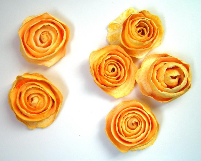 Rosas-naranjas6